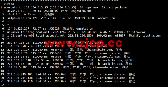 lightnode：阿曼马斯喀特机房VPS，1核/2G内存/50G硬盘/1000GB流量/100Mbps带宽，月付$7.71起，简单测评插图25