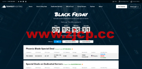 Tempest Hosting：美国欧洲独立服务器，E3-1240-V2/16GB内存/1TB硬盘/DDOS/不限流量/10Gbps带宽，$40/月，凤凰城/洛杉矶/德国等机房插图
