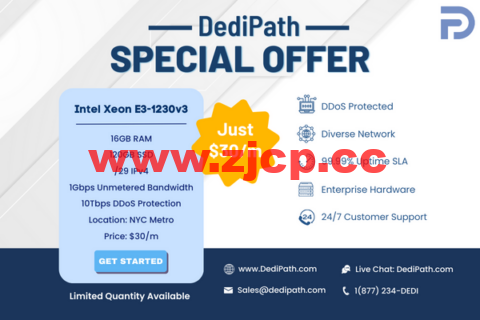 DediPath：限时优惠，特价独服，E3-1230v3/16G内存/120GB SSD或2TB HDD/1Gbps带宽不限流量，$30/月插图