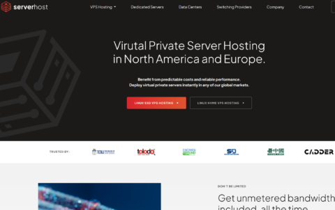 #黑五/网一#ServerHost：1核/2GB内存/30GB SSD/不限流量/1Gbps带宽，$18.75/年，可选美国/荷兰/德国/波兰等机房插图
