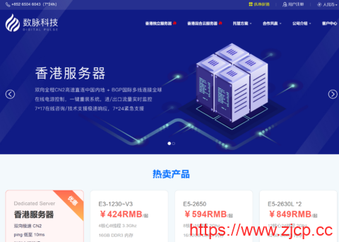 #2024年新春特惠#数脉科技：香港E3-1230v2/16G/1TB HDD/240GB SSD/3个IP，带宽可选30Mbps BGP/15Mbps CN2BGP/10Mbps 华为混合网，月付230元起插图