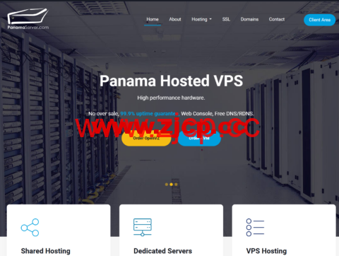 #20 周年#PanamaServer：全场8折，巴拿马VPS，无视DMCA，2核/2G内存/40G SSD硬盘/2TB流量，$16/月起，独服$100/月起插图