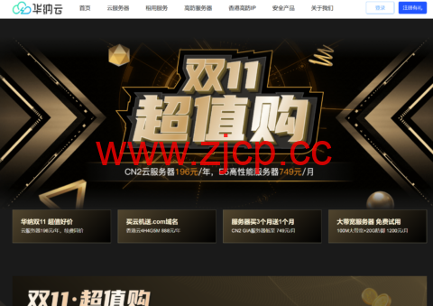 #11.11#华纳云：200G香港高防服务器20M CN2 GIA精品带宽9999元/月，无视DDoS/CC插图