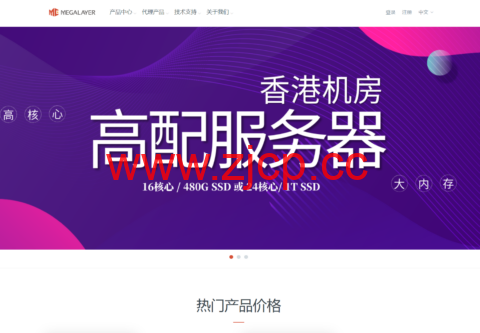 Megalayer：新加坡服务器399元/月起，香港服务器499元/月起，优化带宽，可选高防插图