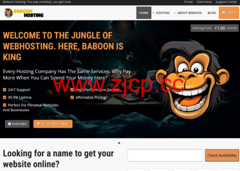BaboonHosting：荷兰vps，1核/1GB/30GB SSD/4TB@5Gbps，€10.99/年插图