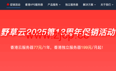#十三周年促销#野草云：香港VPS年付77元起，香港独立服务器199元/月起，AMD EPYC系列CPU，优质/精品网络可选插图