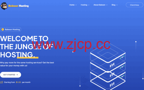 BaboonHosting：荷兰VPS，€12.99/年起，荷兰IPv6 vps年付5欧元起插图